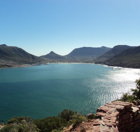 Gratitude—Happiness Starts Here